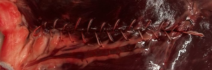 𝔈𝔯𝔦𝔫's banner