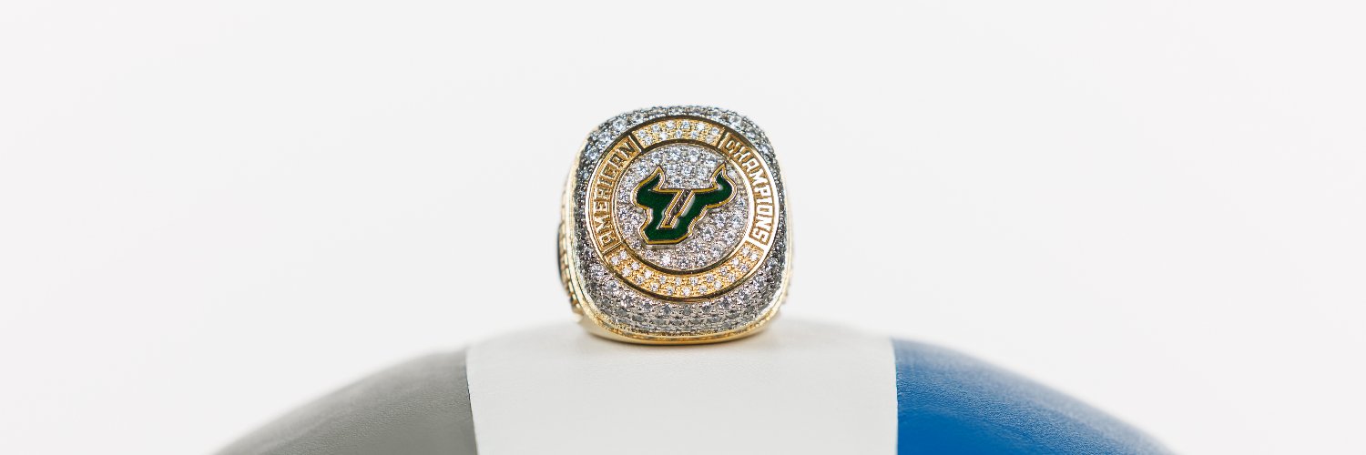 USF Volleyball's banner