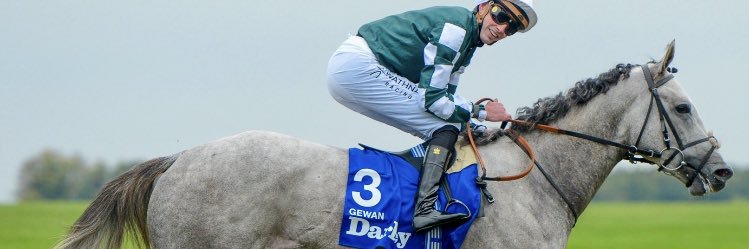 Sarah O' Connell's banner