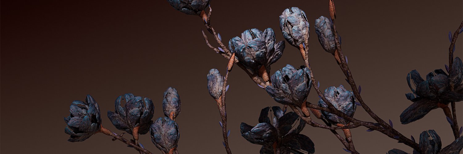 Stephan Duq | Bloom's banner