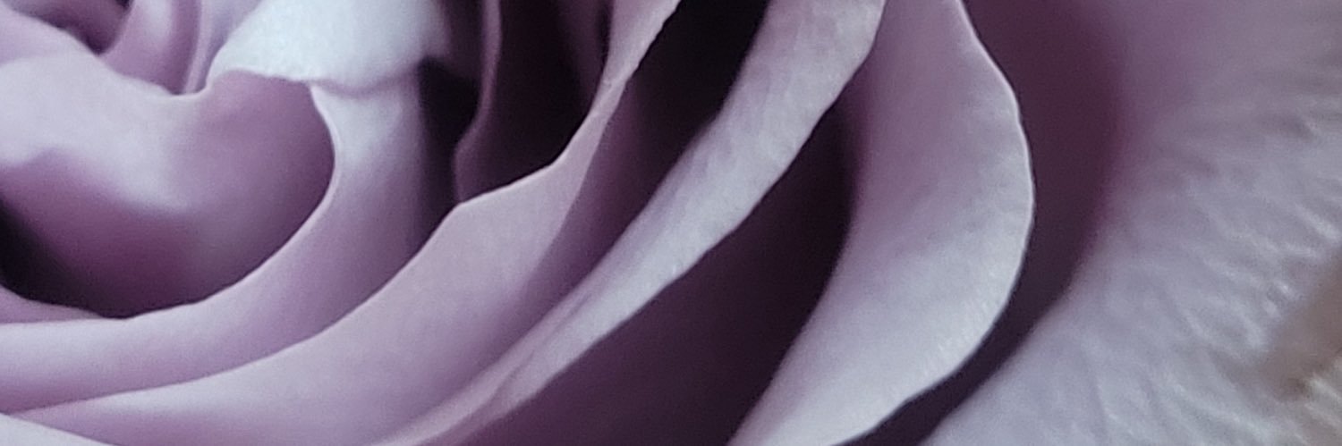 Twin Flames Universe's banner