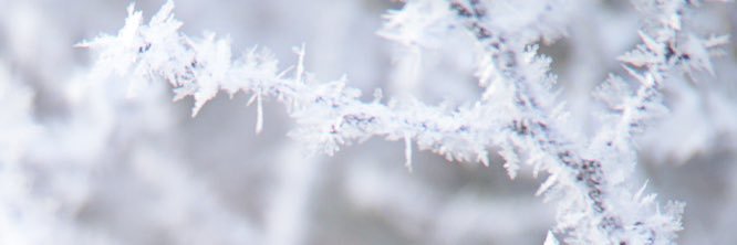 归0💦's banner