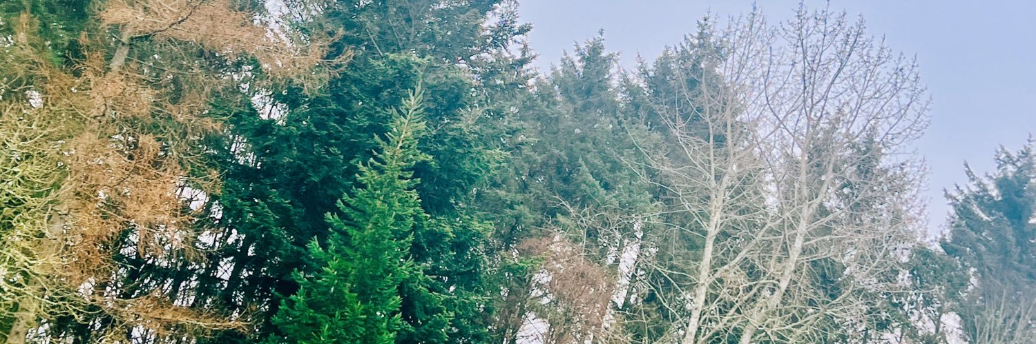 Emeli Sandé's banner