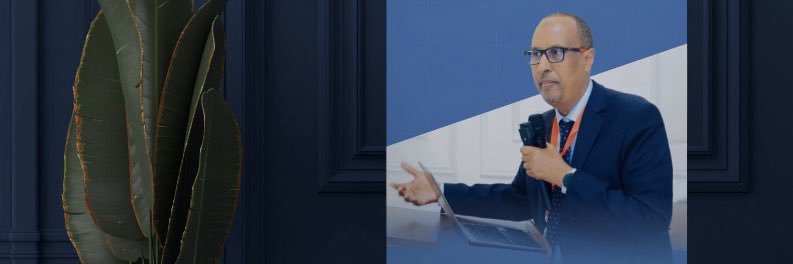 Ali H. Warsame's banner