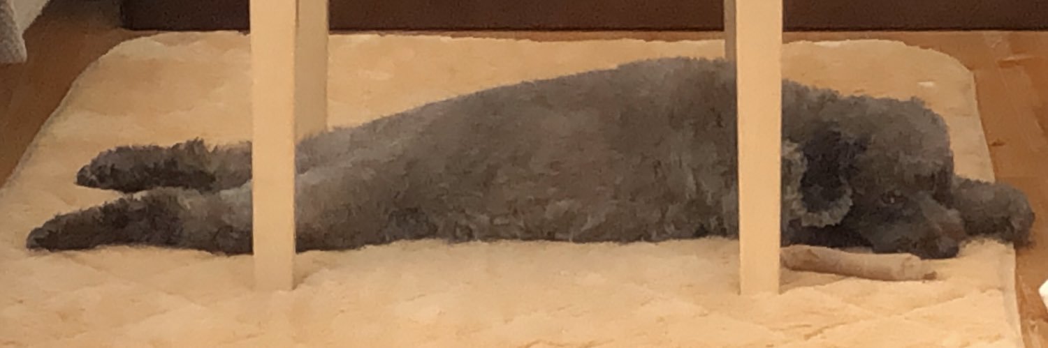 りょうこ's banner