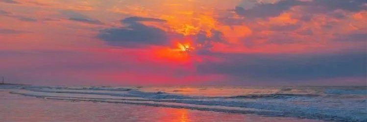🌴Peachy🍑🌴's banner