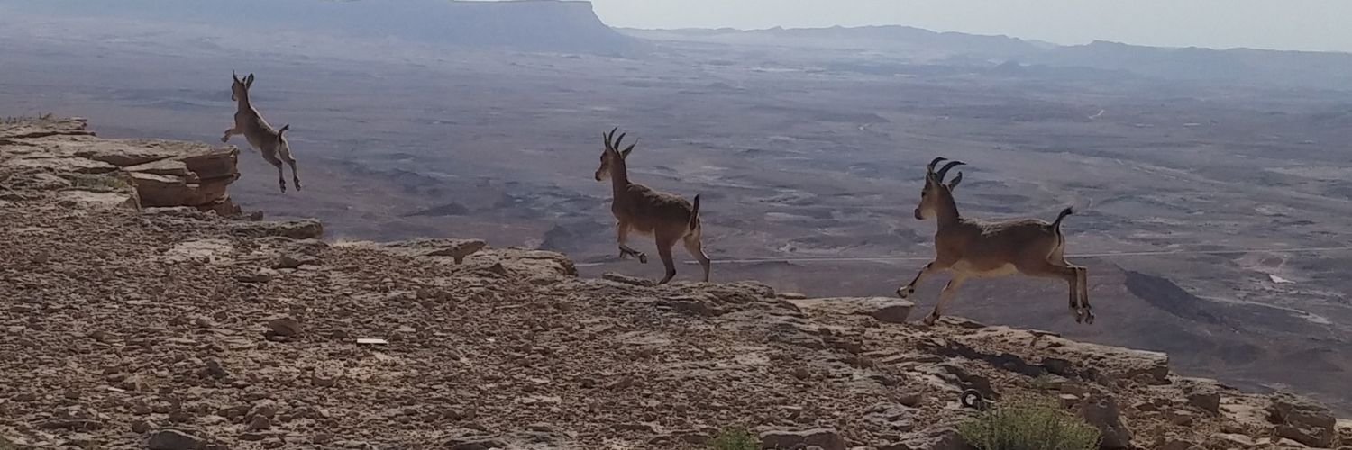 Guy Cotev גיא קוטב's banner