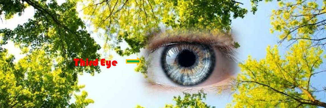 Third Eye's banner