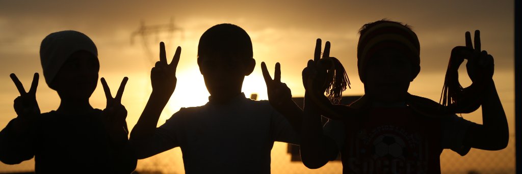 Conseil Démocratique Kurde en France's banner