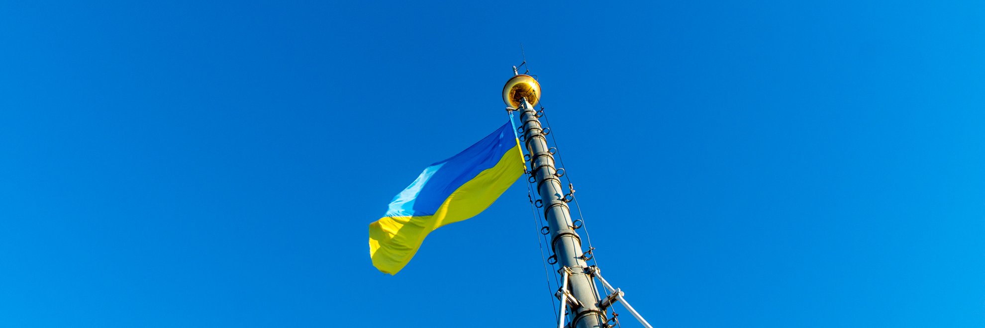 Сметанат борщу's banner