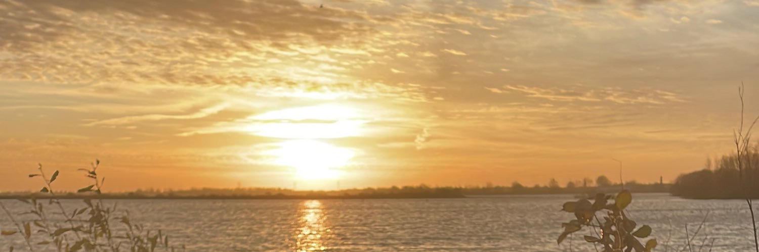 𝓓aniëlle 𝓗oek's banner