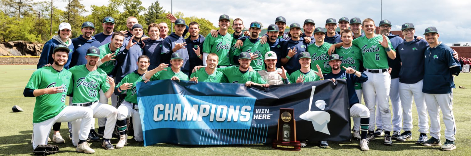 Endicott Baseball's banner