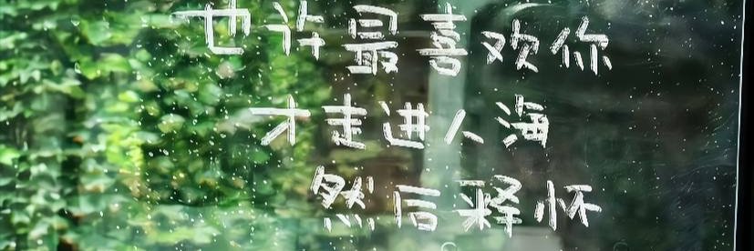 猫猫是困狗's banner