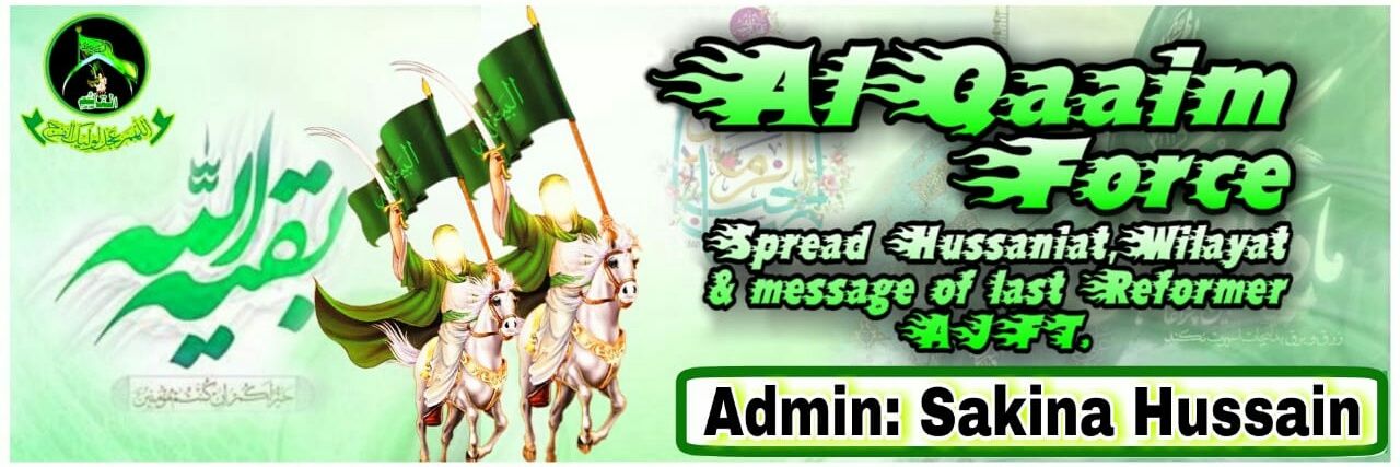 sakina hussainBhutto's banner