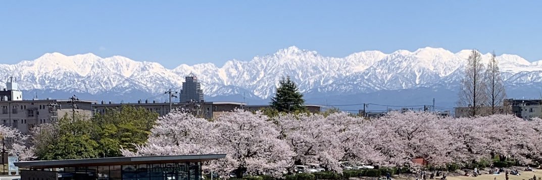 クマムシ佐藤大樹's banner