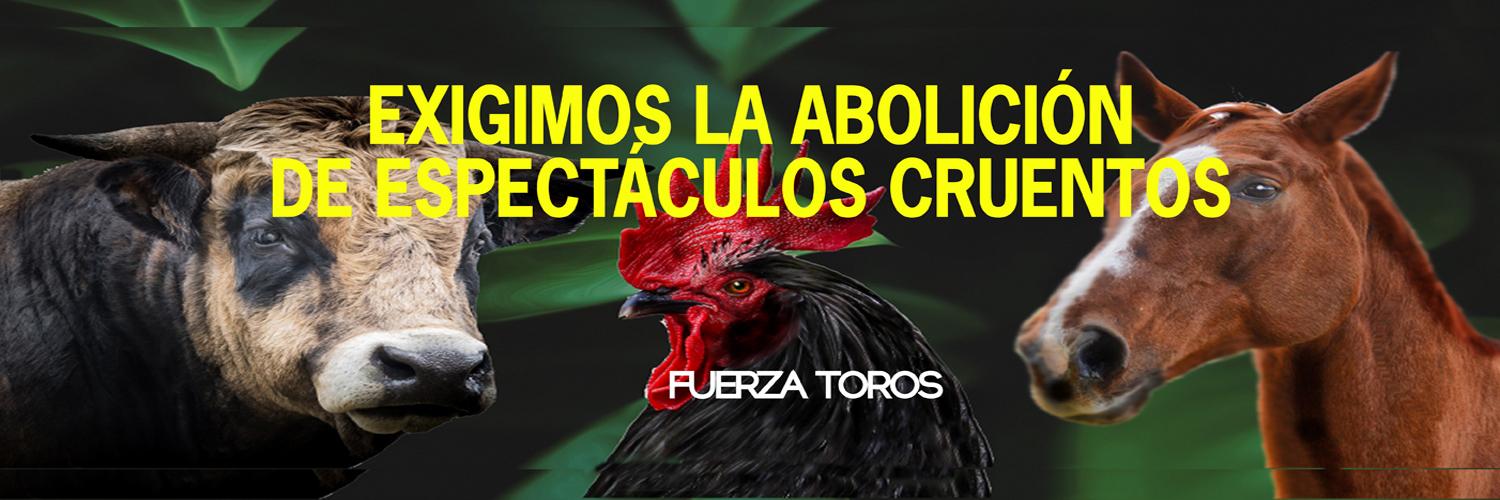 ALCE Perú🐸🐶🐱🐰🐯🐣🐮🐷🐳🐵🐢's banner