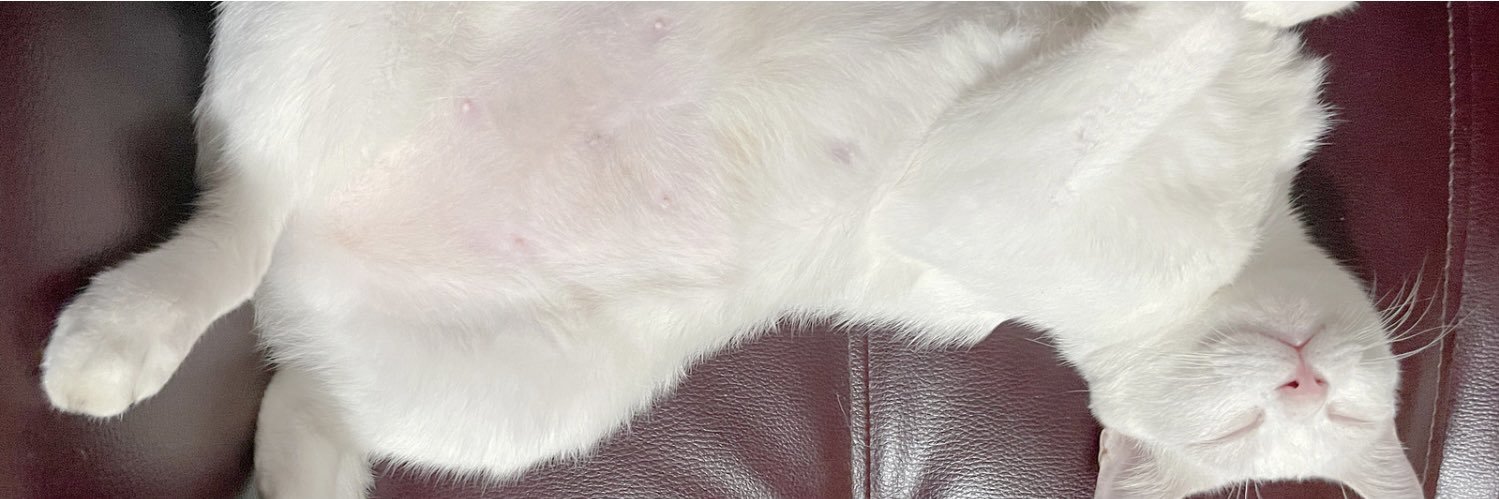 หนูดา🥰ได้เจอน้องซีแล้ว's banner