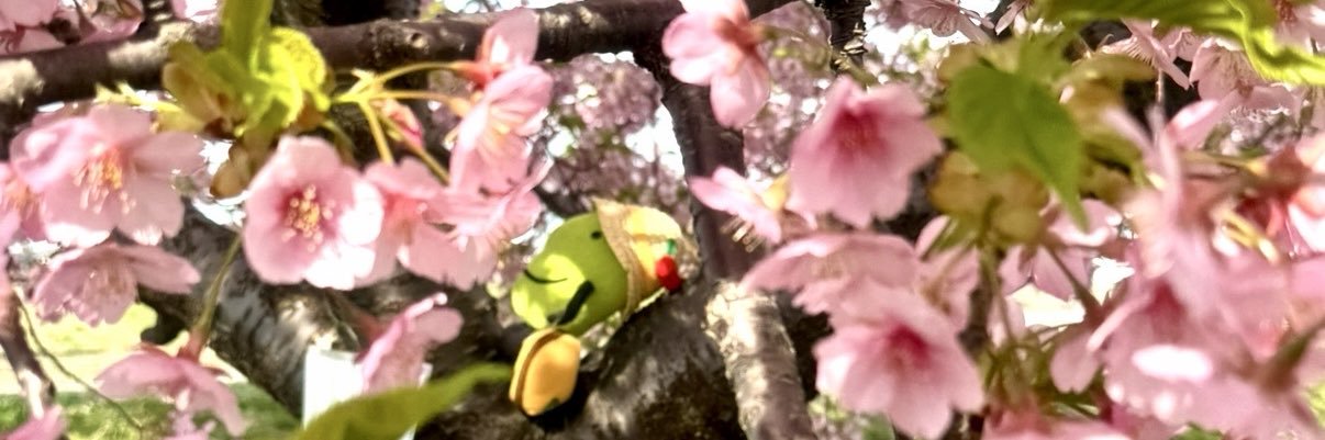 山形県おもてなし局長きてけろくん【公式】's banner