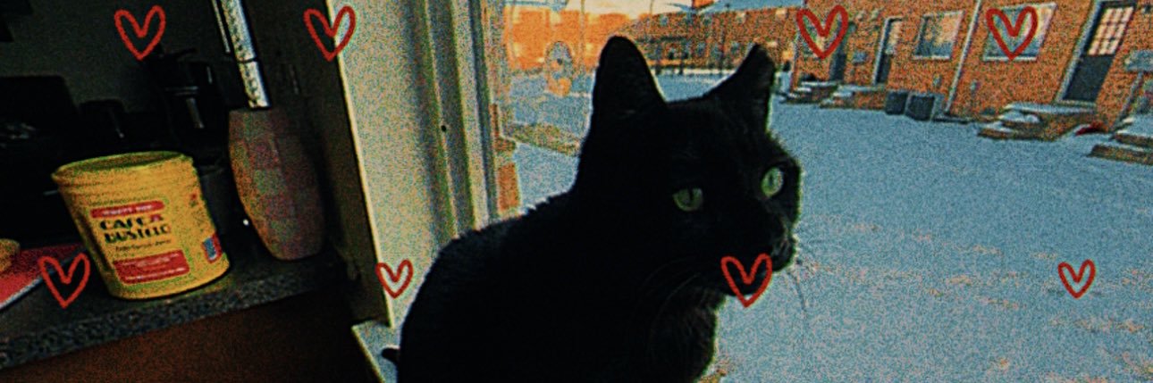 𝔭𝔥𝔬𝔢𝔟𝔢 🥀's banner