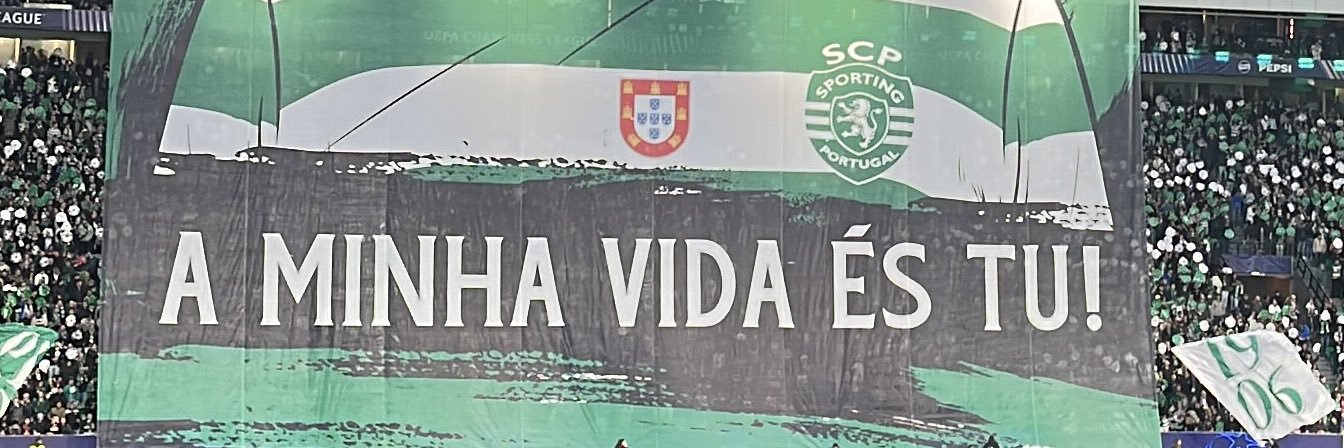 Mariana Cordeiro Ferreira's banner