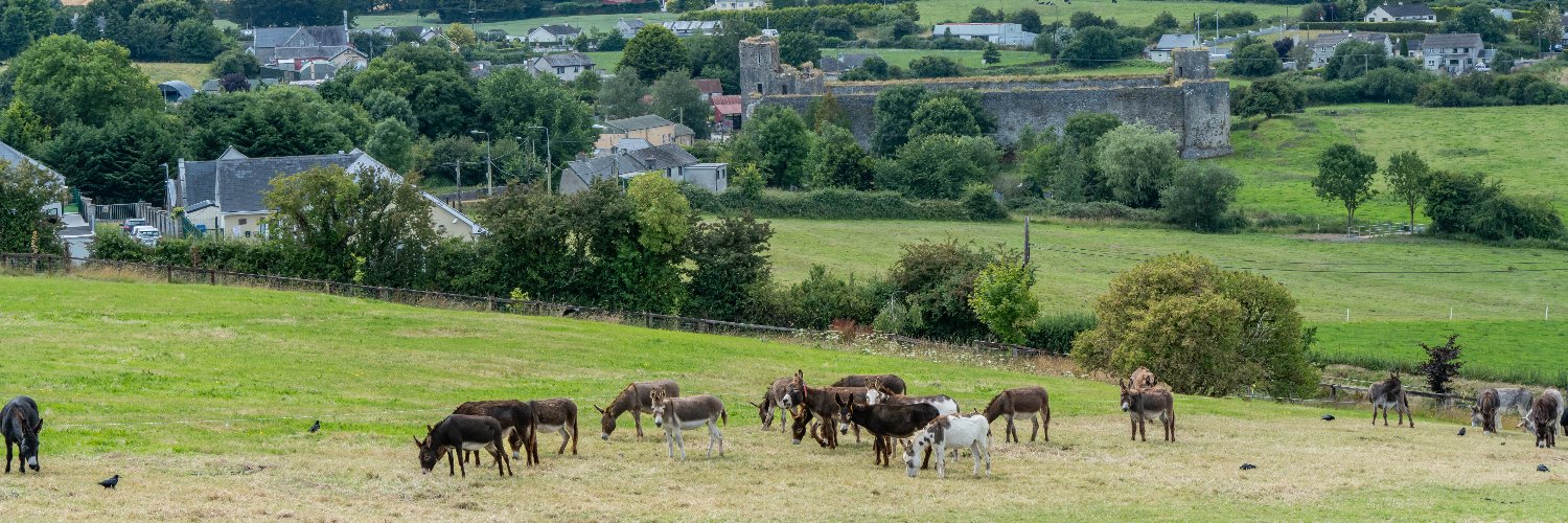 The Donkey Sanctuary Ireland's banner