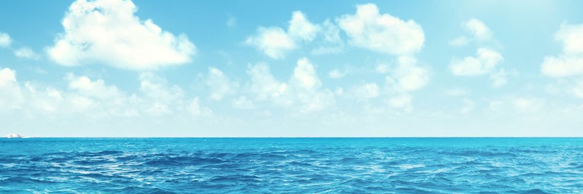 Thibault Duboucher's banner