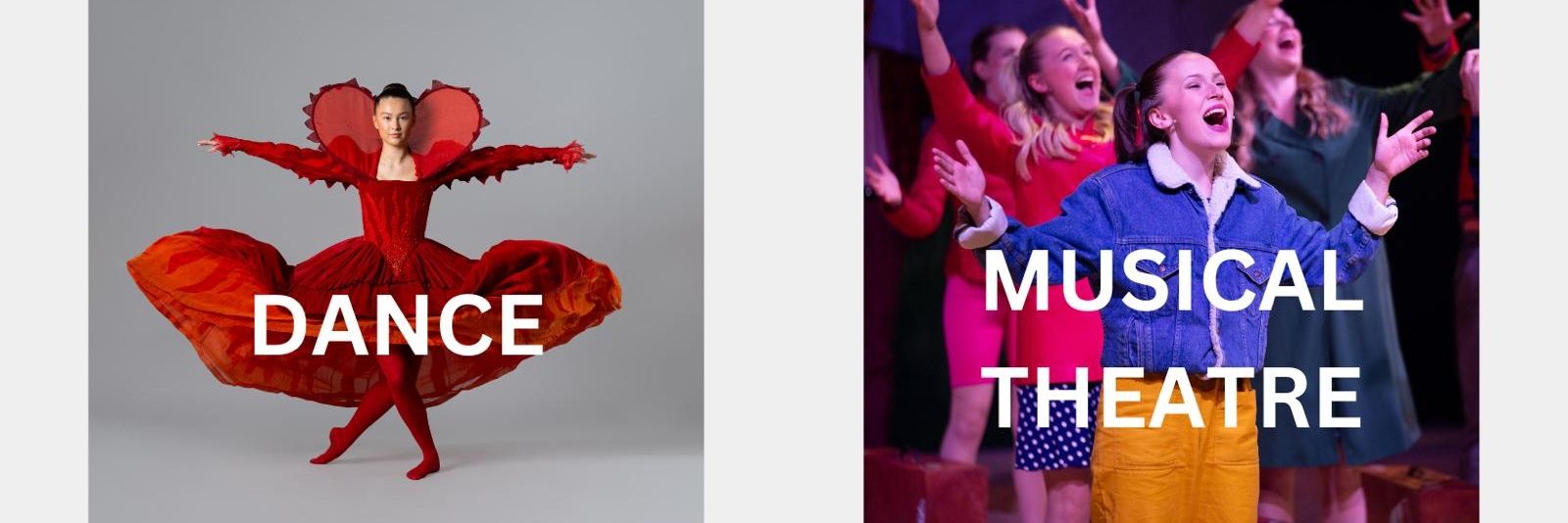 The Dance School Of Scotland's banner