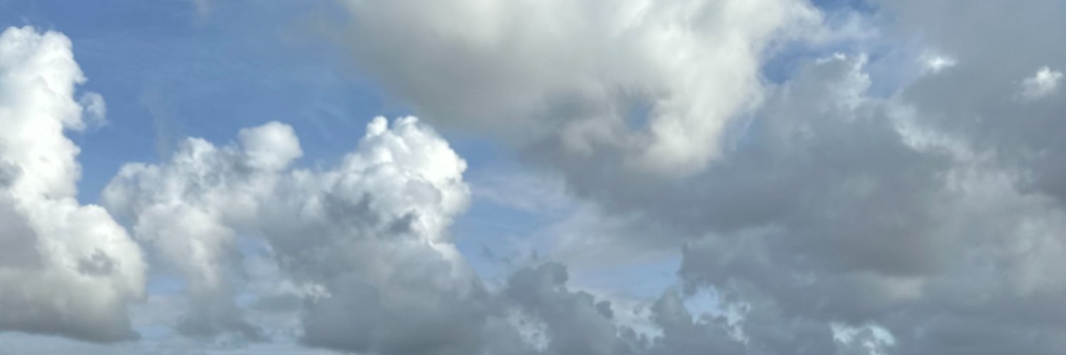 Казай Мазай и зайцы's banner