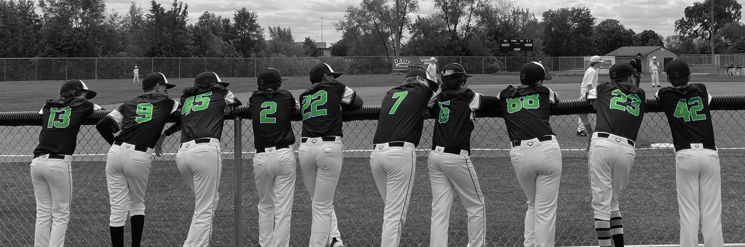 Slammers Illinois | Baseball's banner