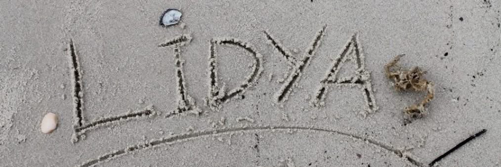 Lily 🇪🇹's banner
