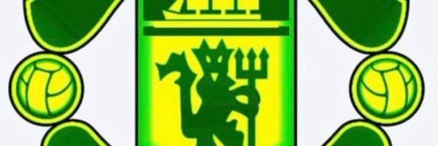 Faisal LOM's banner