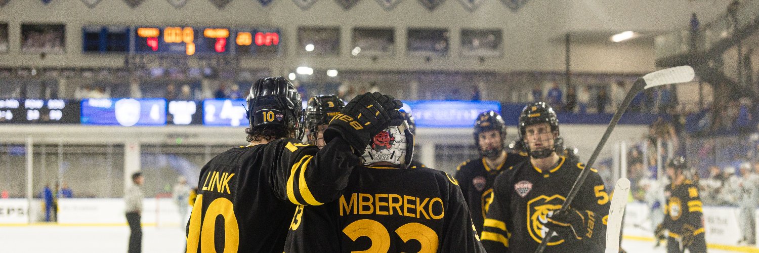 CC Hockey's banner