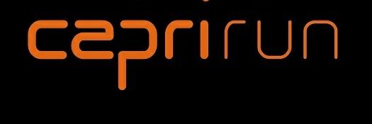 Ricardo Capriotti's banner
