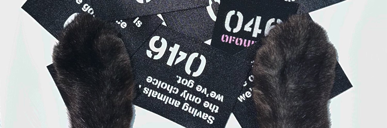 新井 ましろ's banner