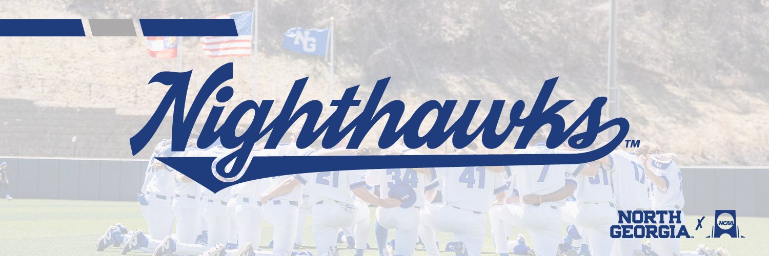 UNG Baseball's banner