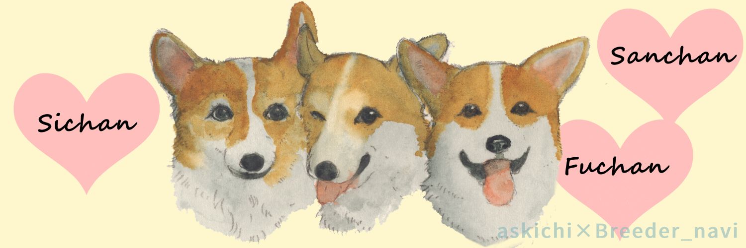 とらこ's banner
