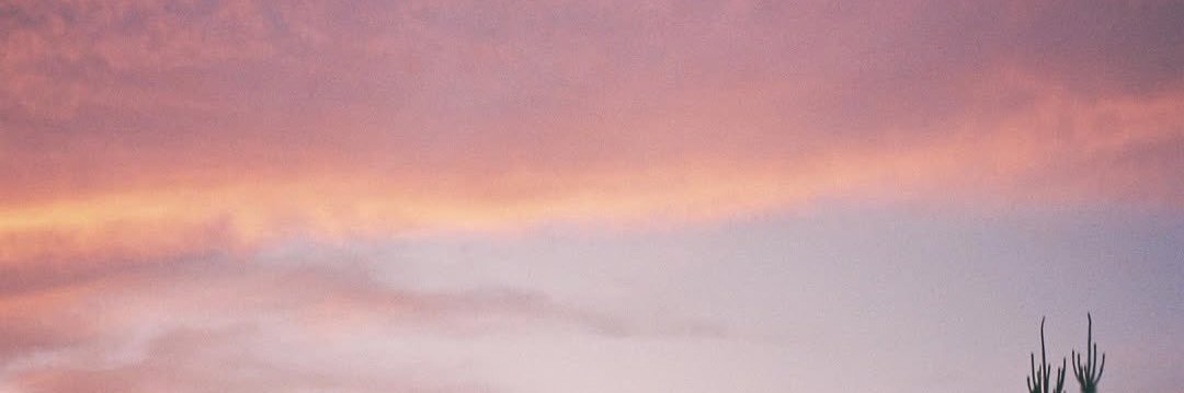 bats 🦇cha junhwan ogm i will avenge u's banner