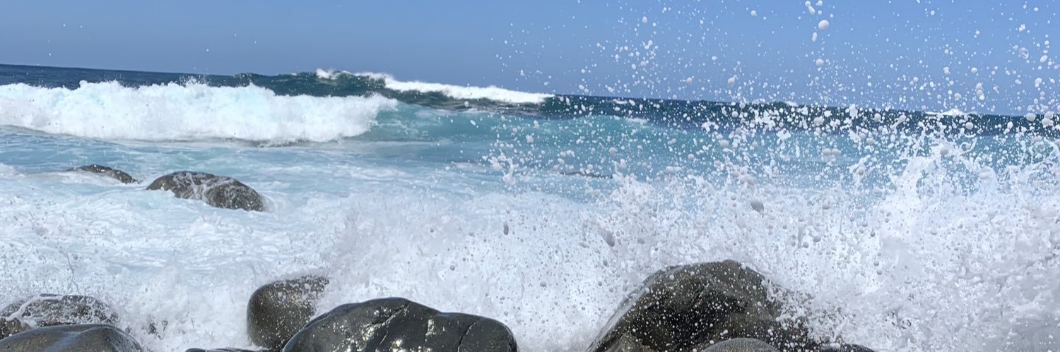 Ƥяιηcє 🌸's banner