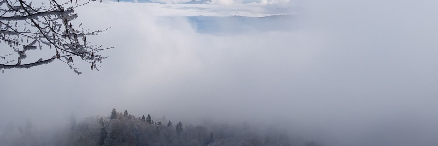 ℝ𝕆𝕊𝕋ОV𝕀𝕋𝔼Z's banner