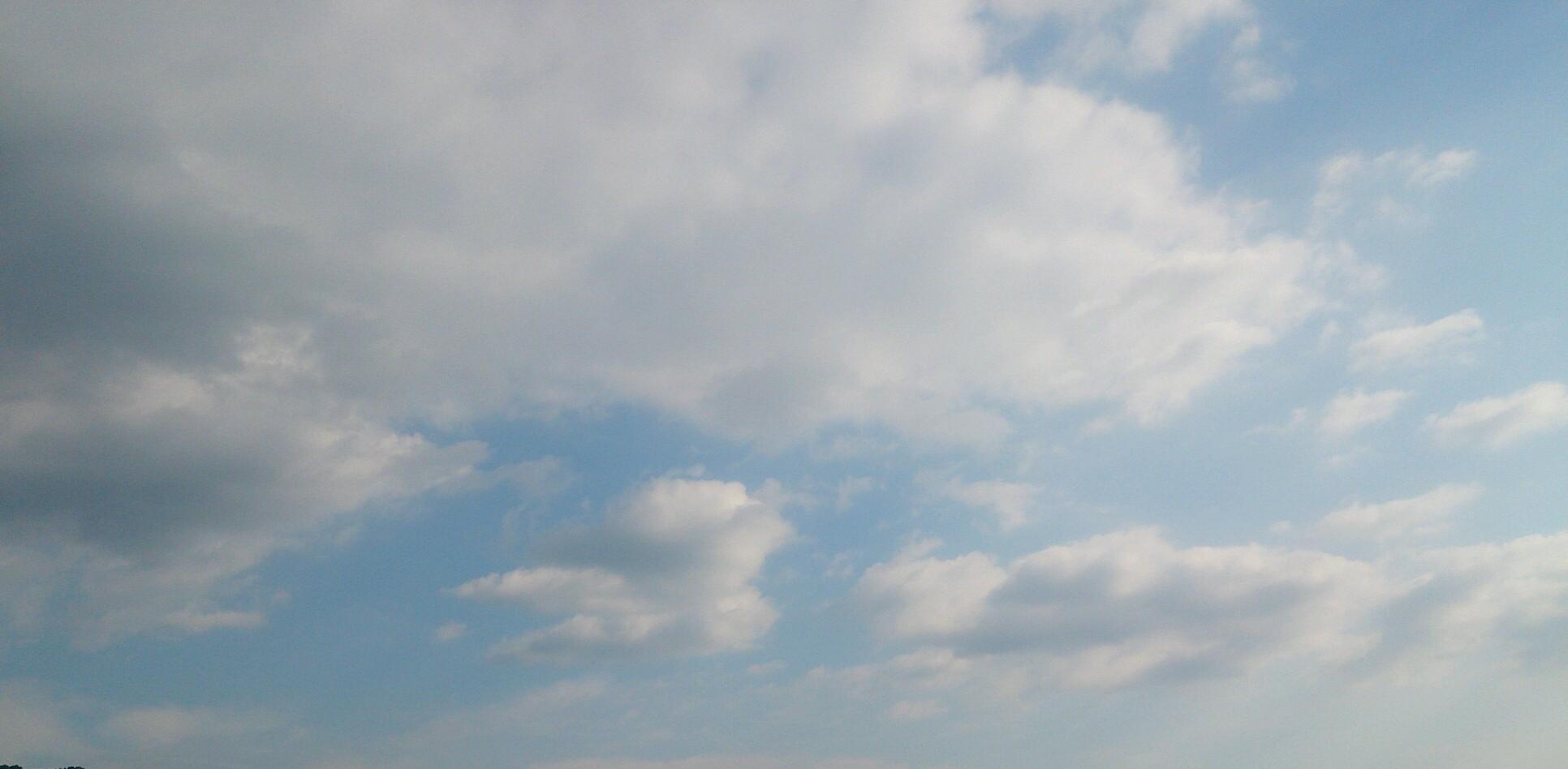 箱ヒツジ's banner