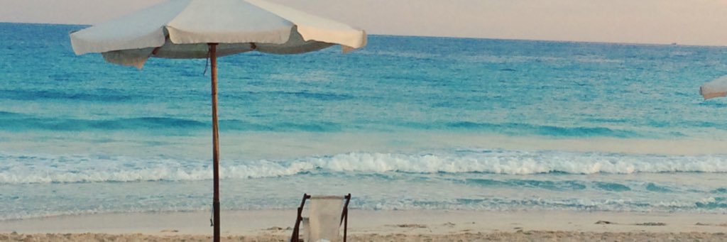 Shaymaa Khalil's banner