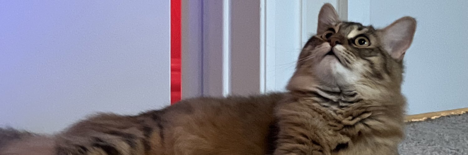Pezzy's banner