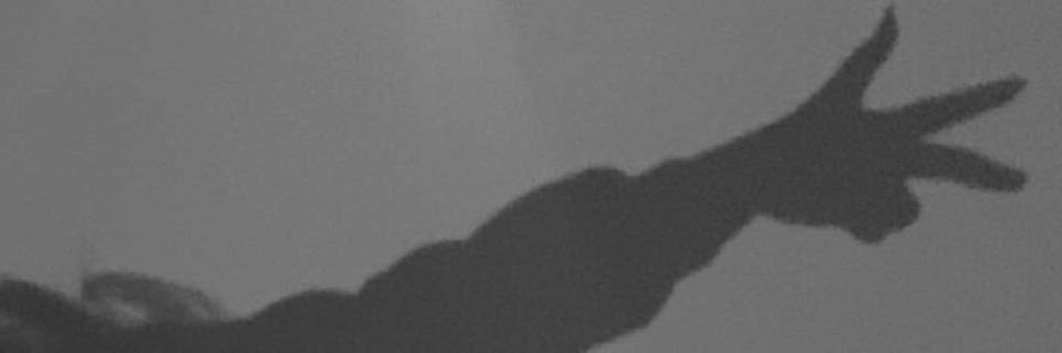 خ'ـلوُد♛بدوُيه 🧚🏻‍♀️👑"''s banner