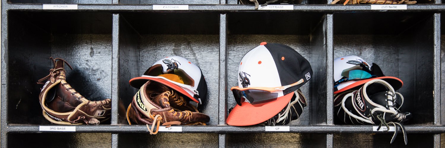 Kalamazoo College Baseball's banner