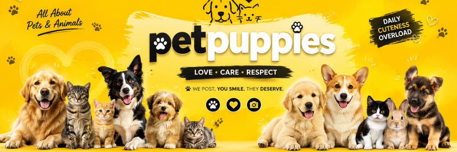 petpuppies👿😺's banner
