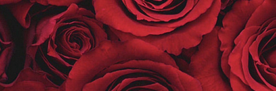 kay ♉︎'s banner