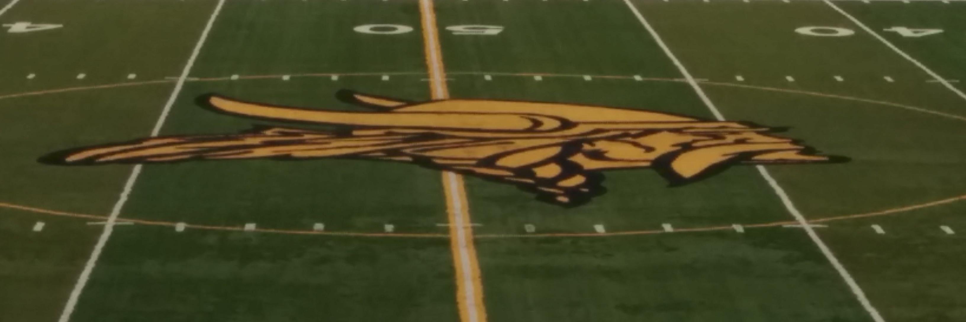 Viking Athletics's banner