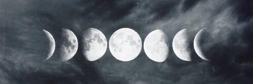 Secret's banner