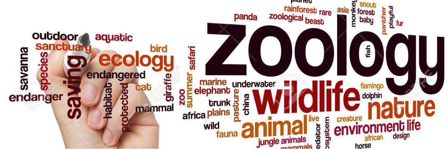 ZoologiMY's banner