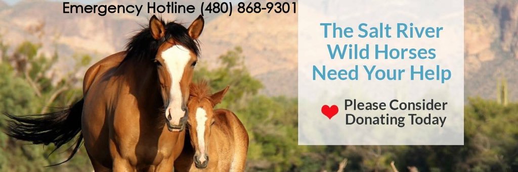 Salt River Wild Horse Management Group's banner